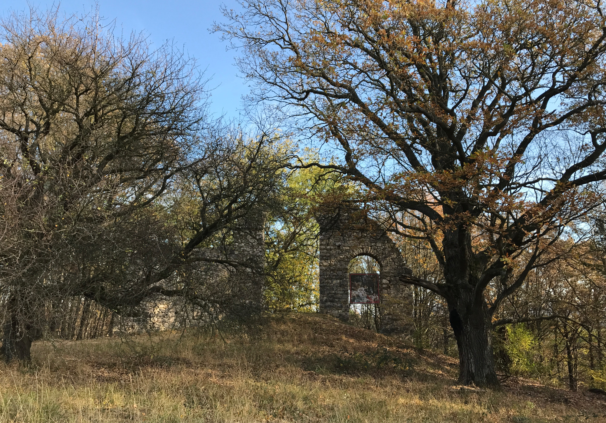 sparbach-1.jpg