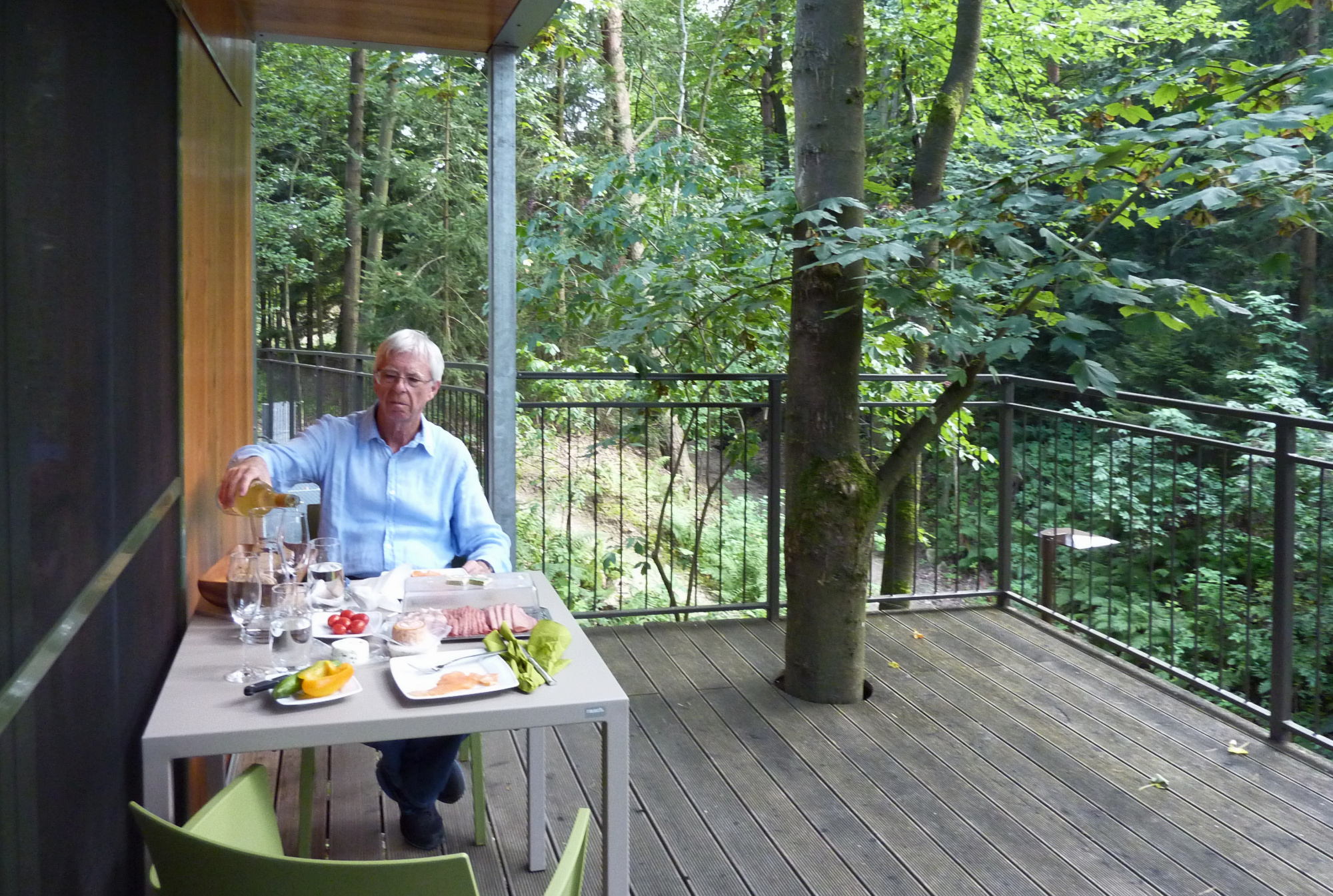 tree-house-robert.jpg