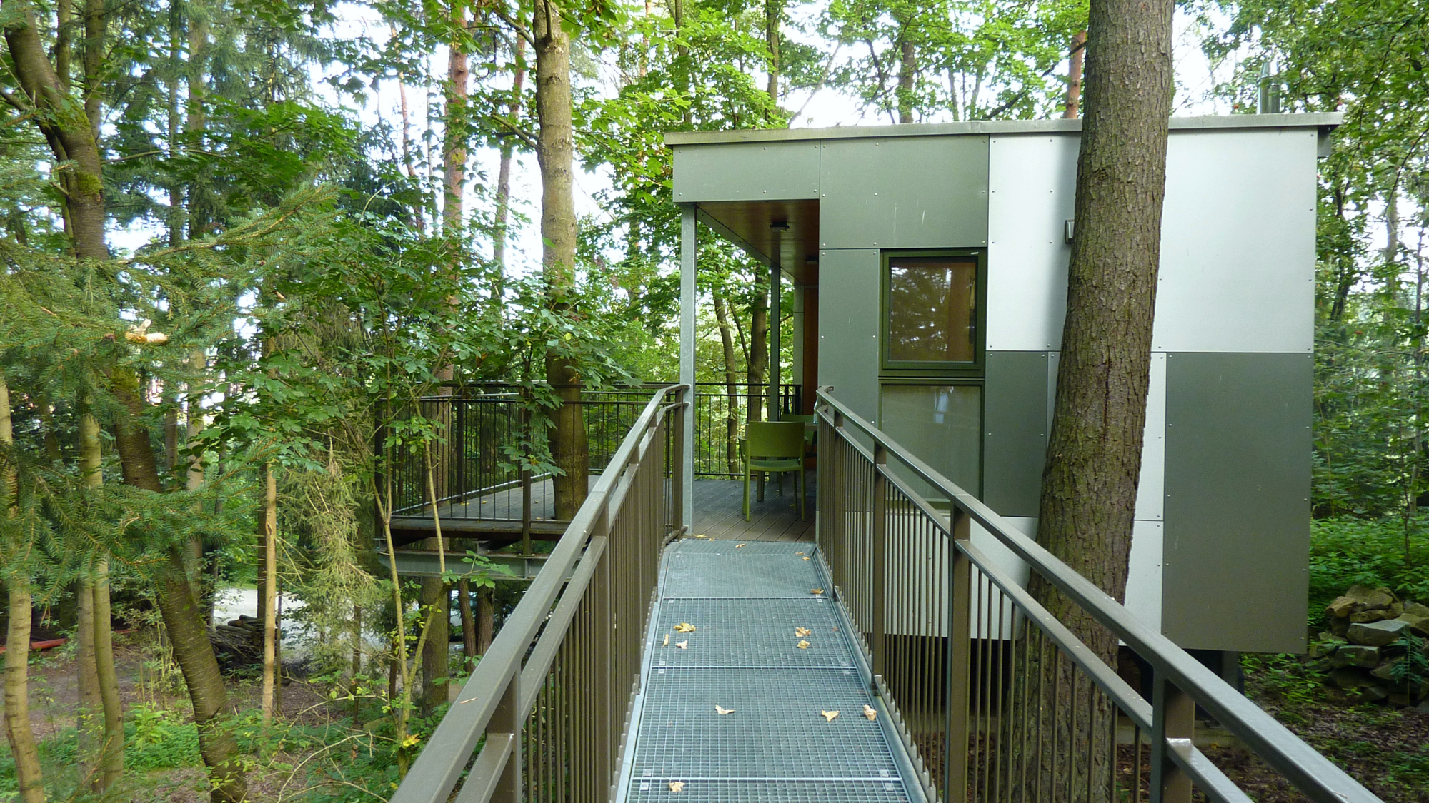 tree-house.jpg