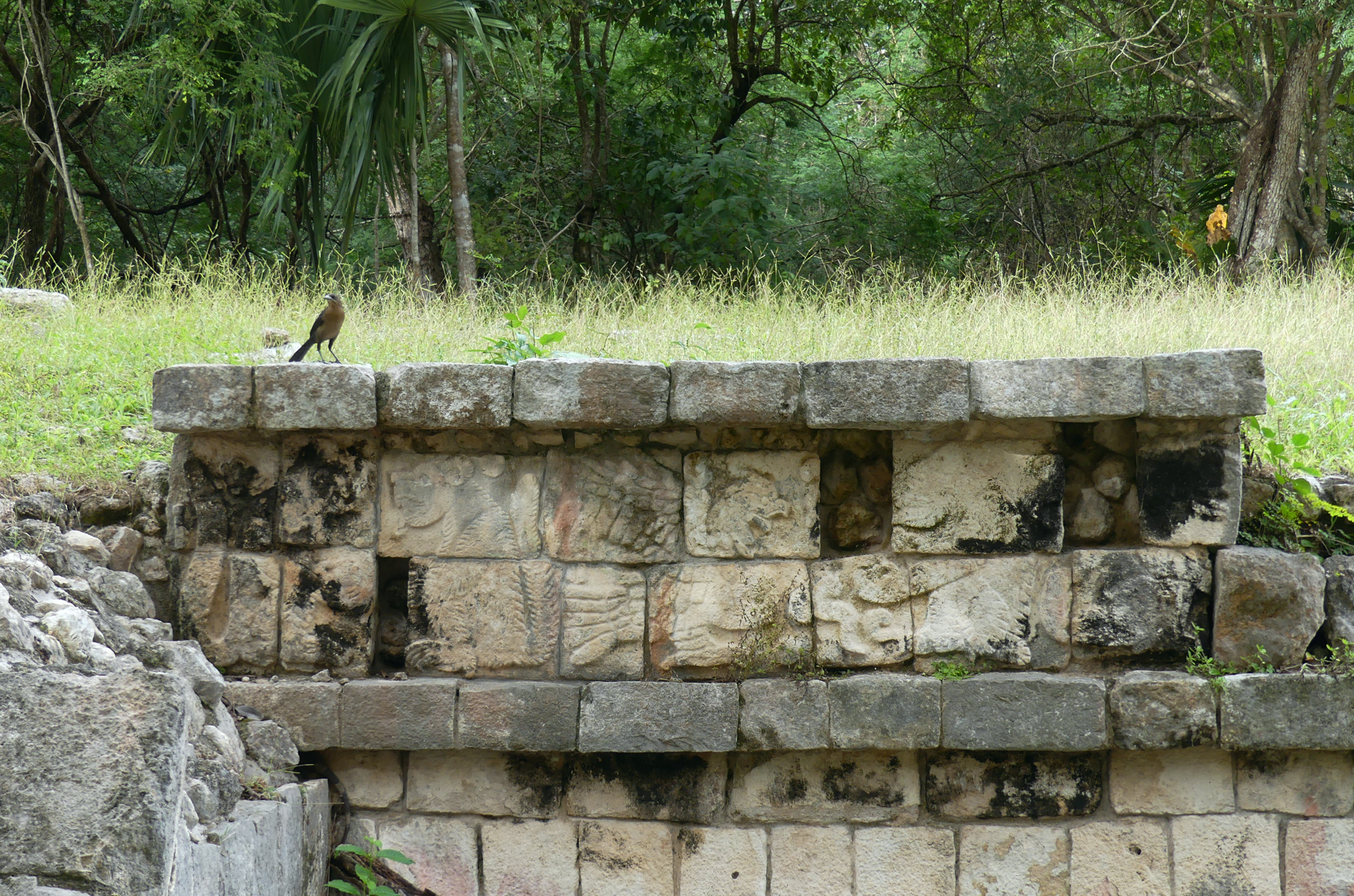 chichen-itza-bird.jpg