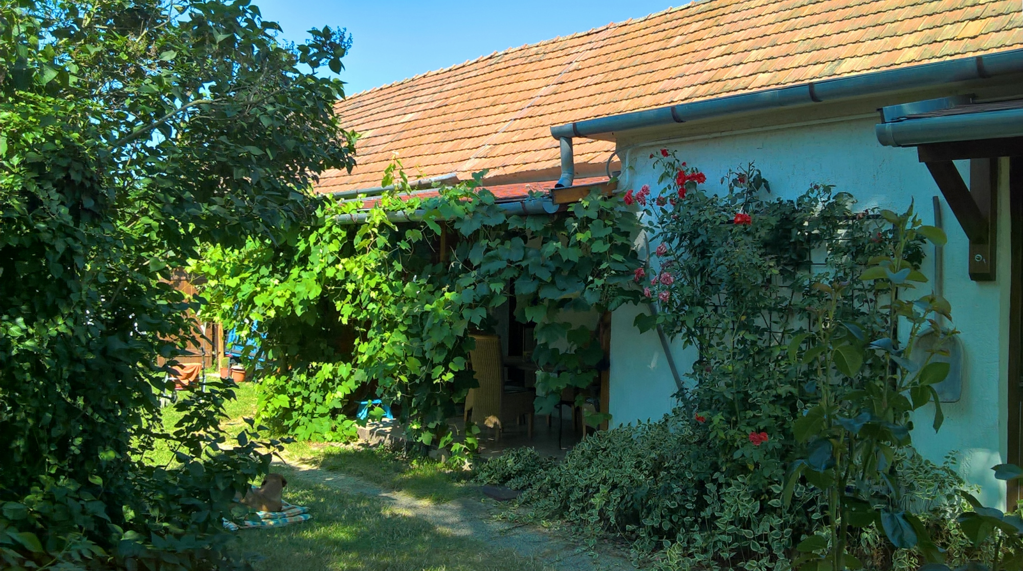 house-with-patio-2016.jpg