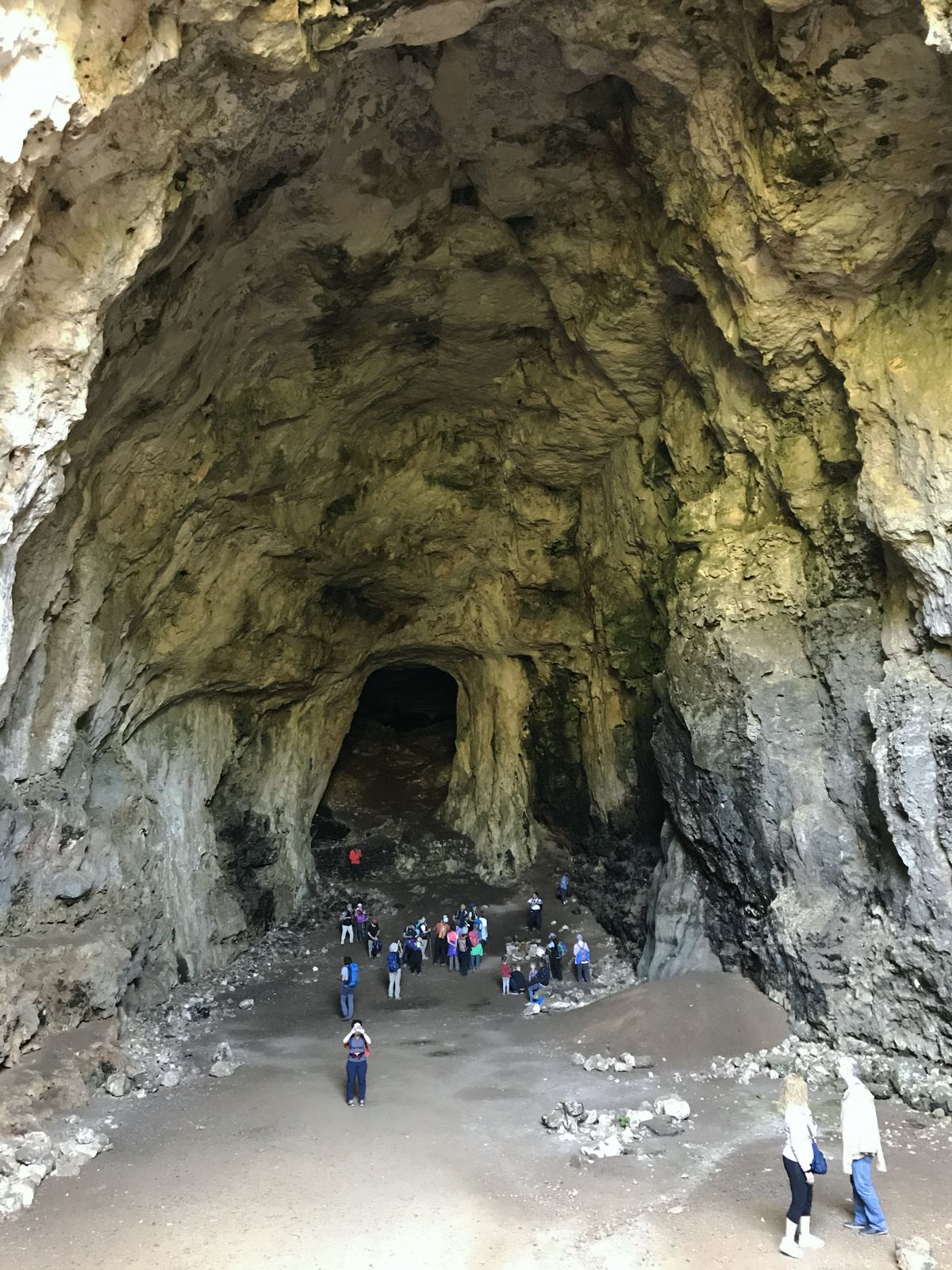 cova-des-coloms-1.jpg