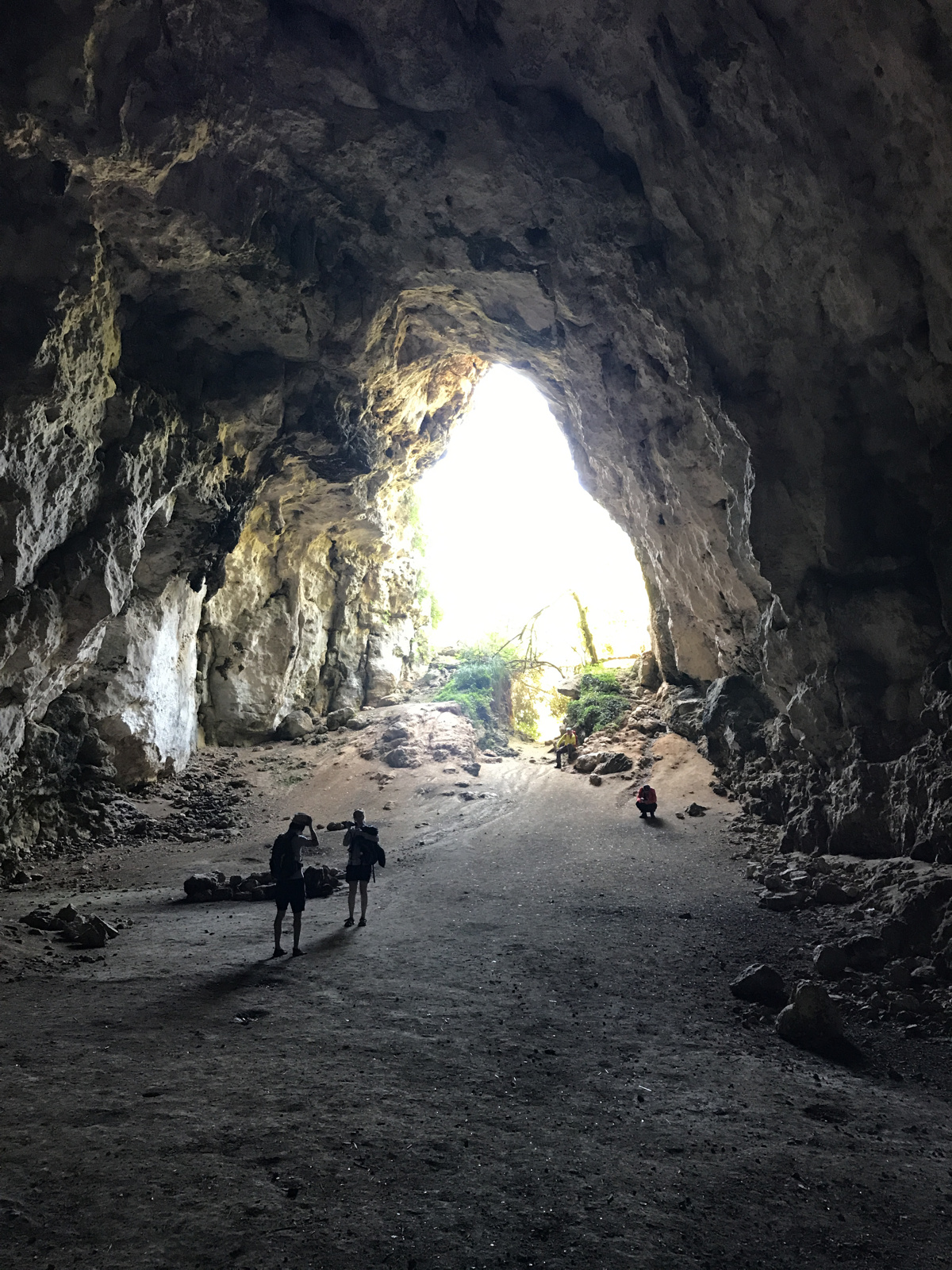 cova-des-coloms-3.jpg