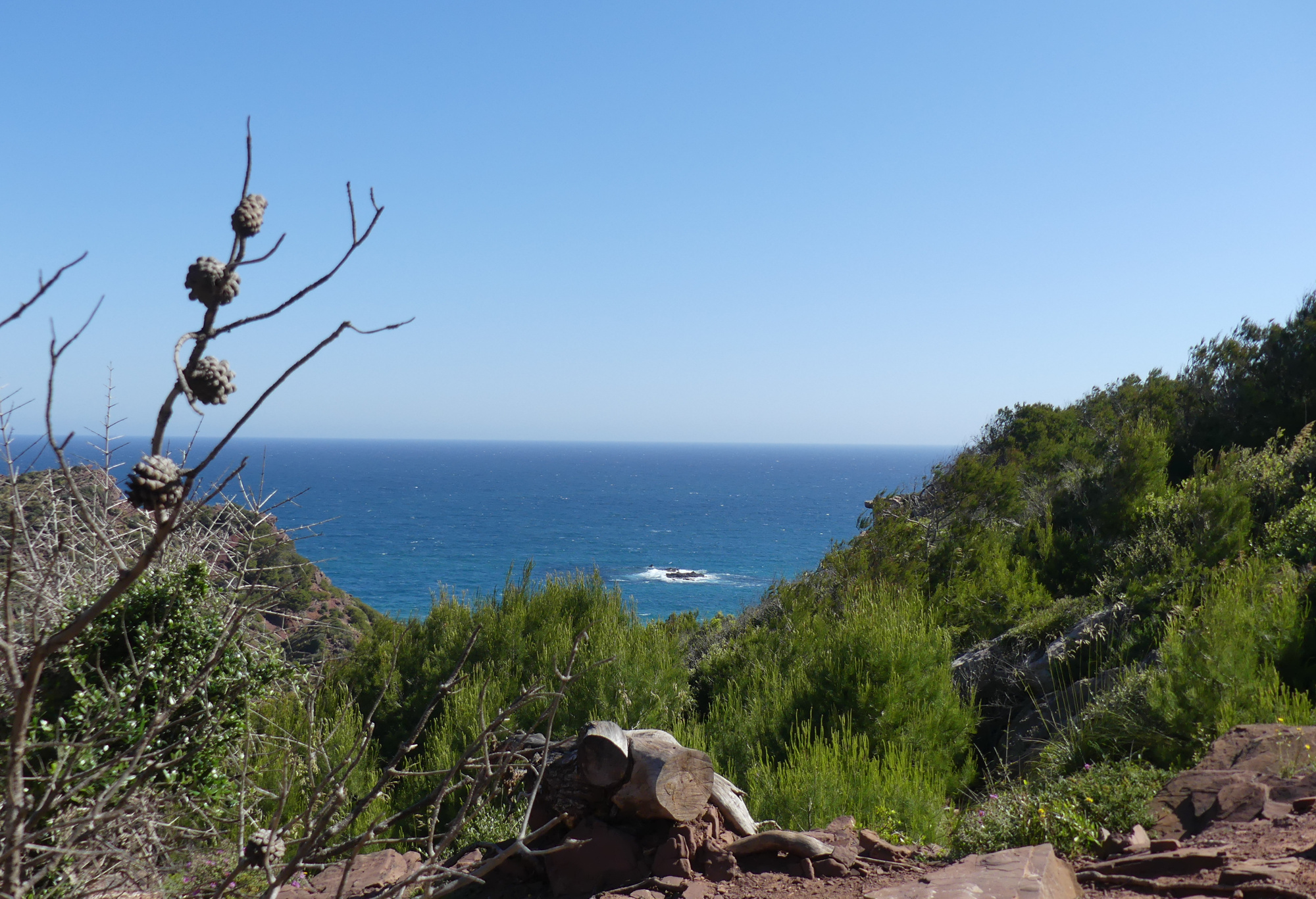 north-coast-1.jpg