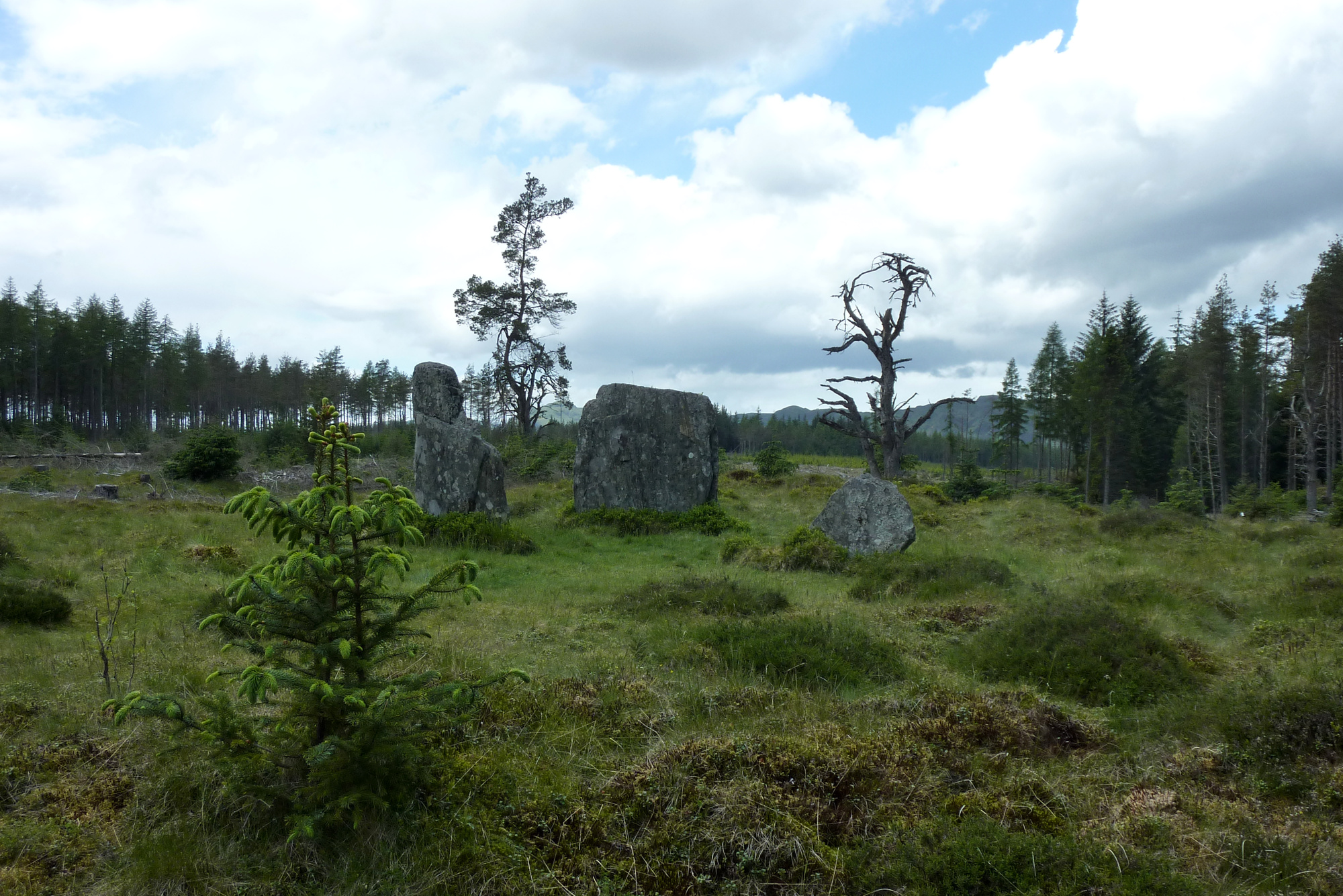 standing-stones-1.jpg