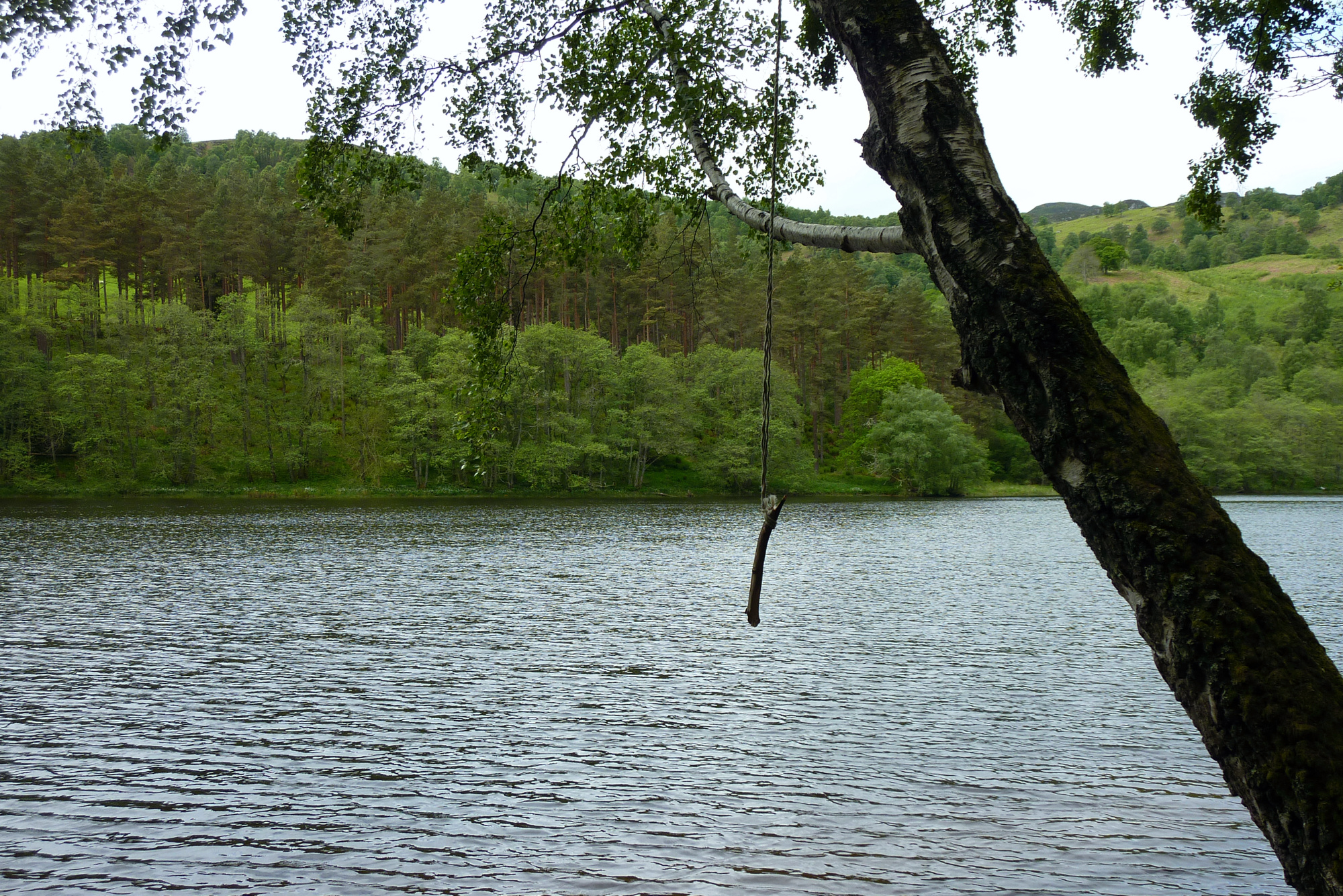 tummel-shore.jpg