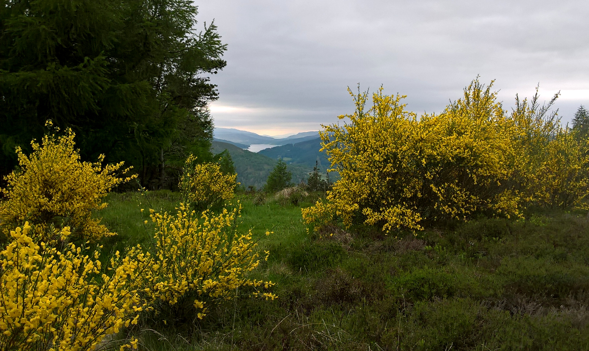 view-from-craigower.jpg