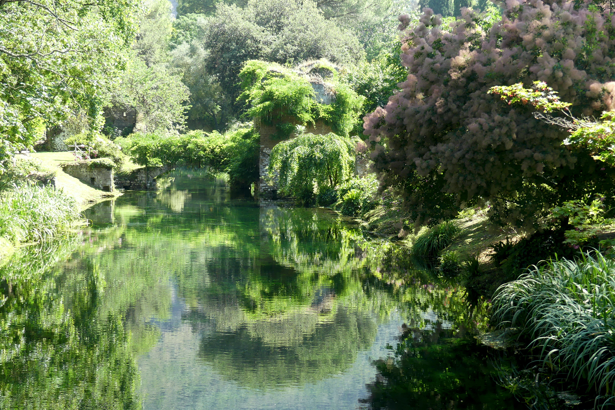 ninfa-1.jpg