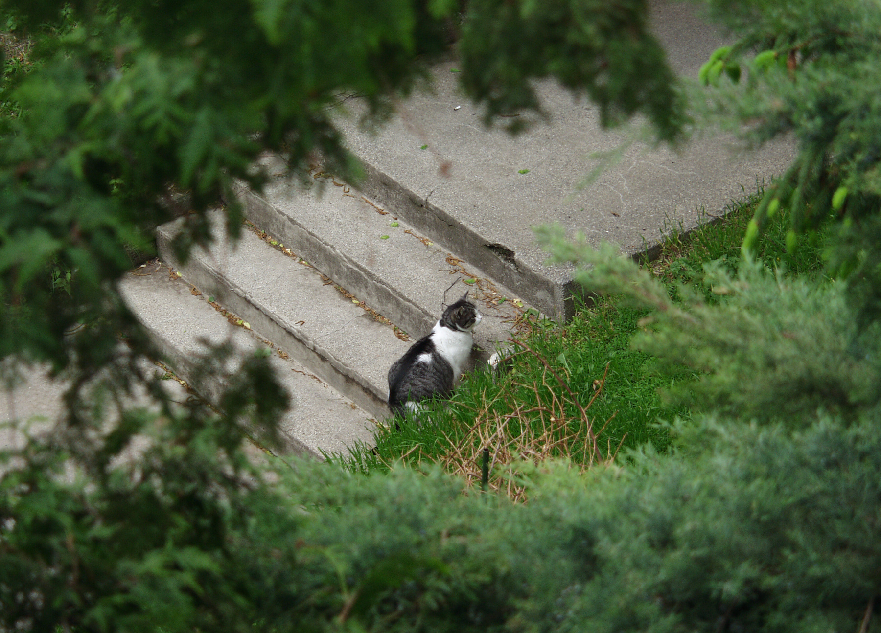 sissi-outdoors-2004.jpg