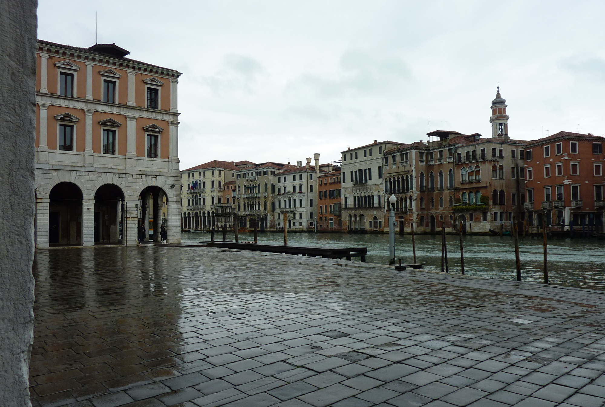 erbaria-in-the-rain-2016.jpg