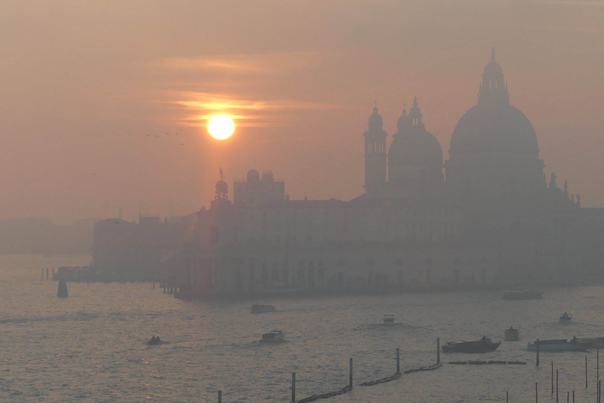 salute-fog-sundown-1.jpg